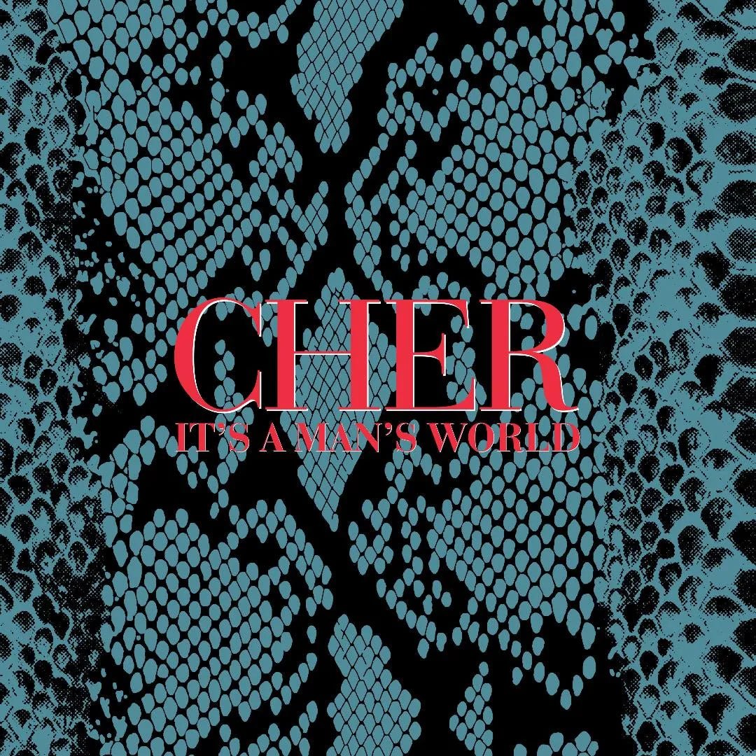 Cher - It's A Man's World 2 CD - 1 - CD - Orchard Records