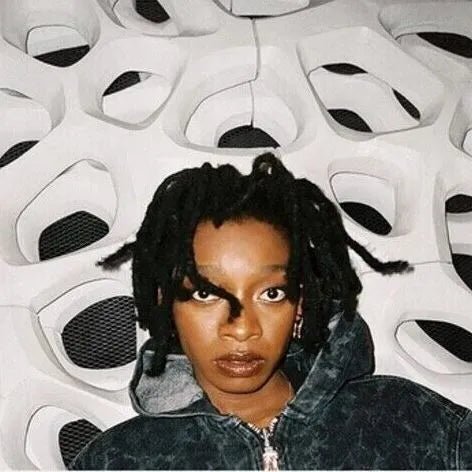 Little Simz - No Thank You 2 LP Set Clear Vinyl - 1 - LP - Orchard Records