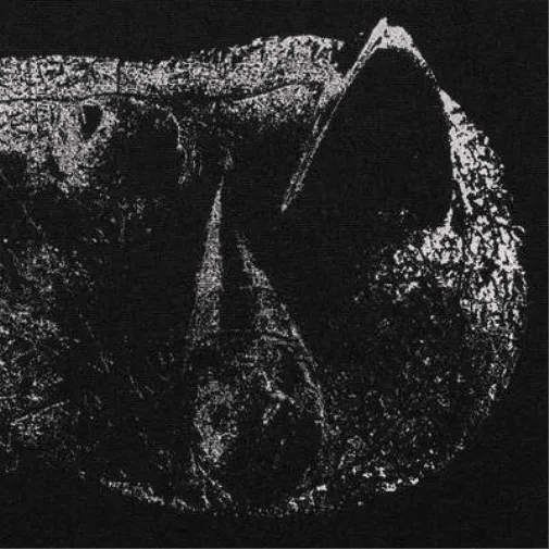 Demon Head - Viscera CD - 2 - CD - Orchard Records