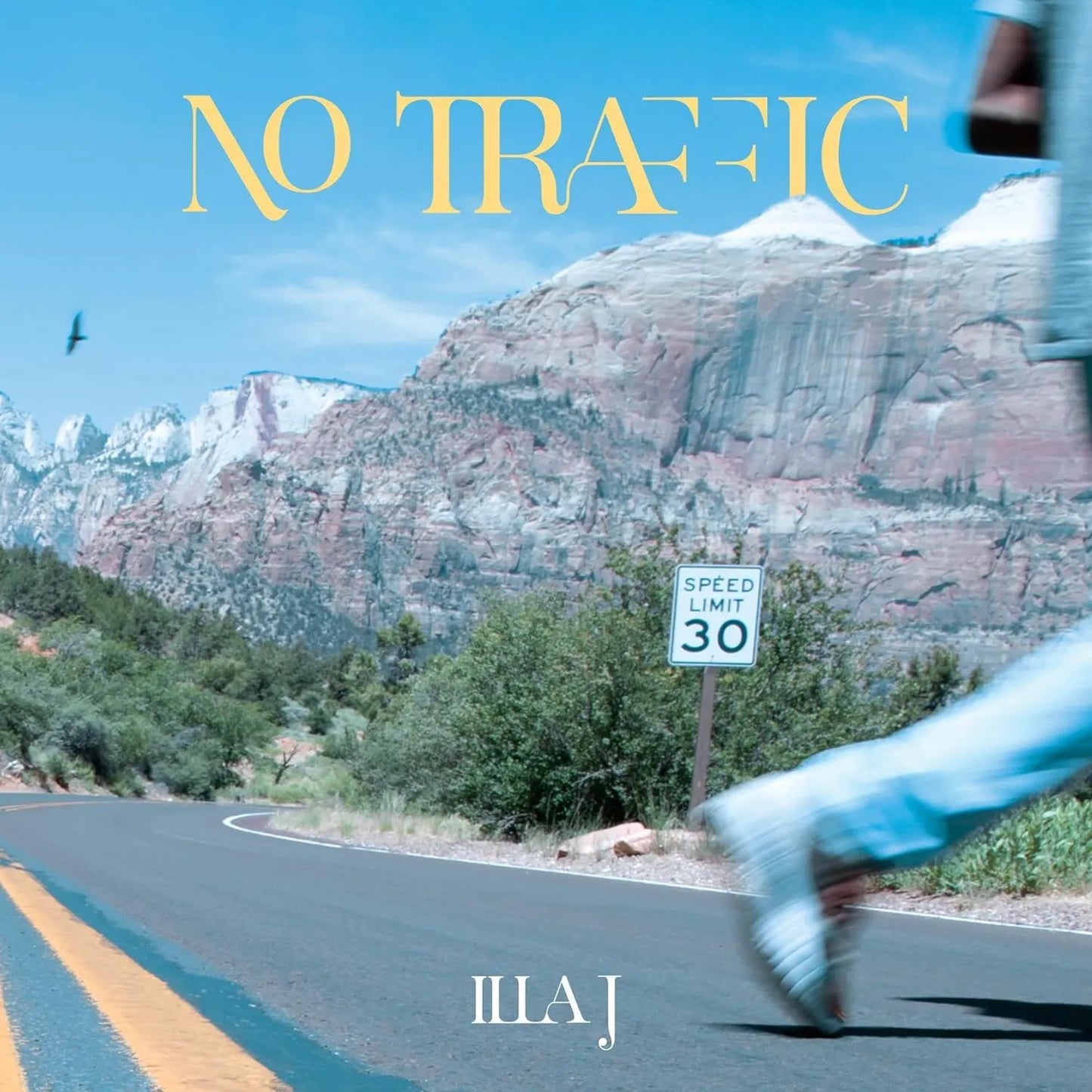 Illa J - No Traffic 2 LP Set - 1 - LP - Orchard Records