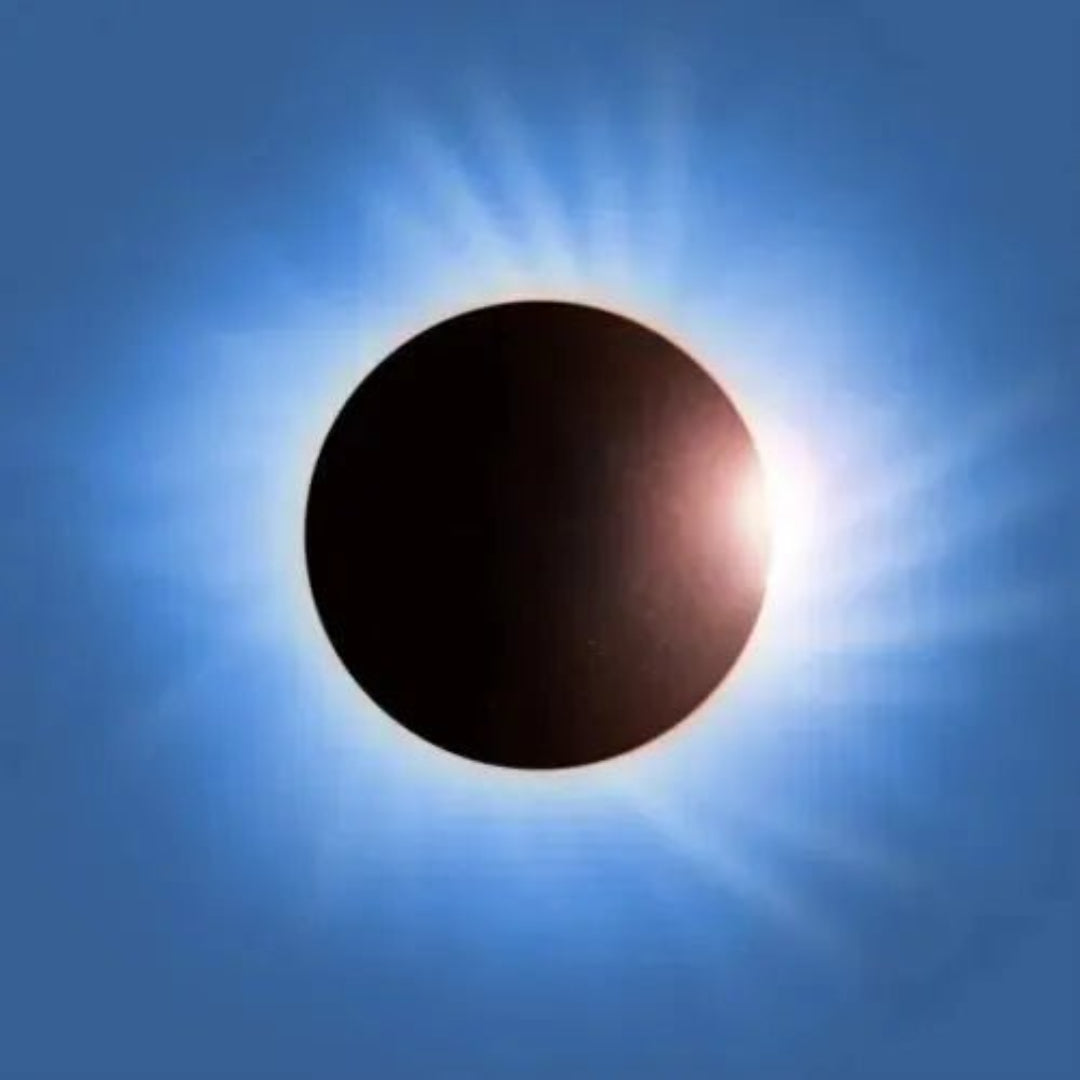 Battle for the Sun Placebo CD case front cover artwork image