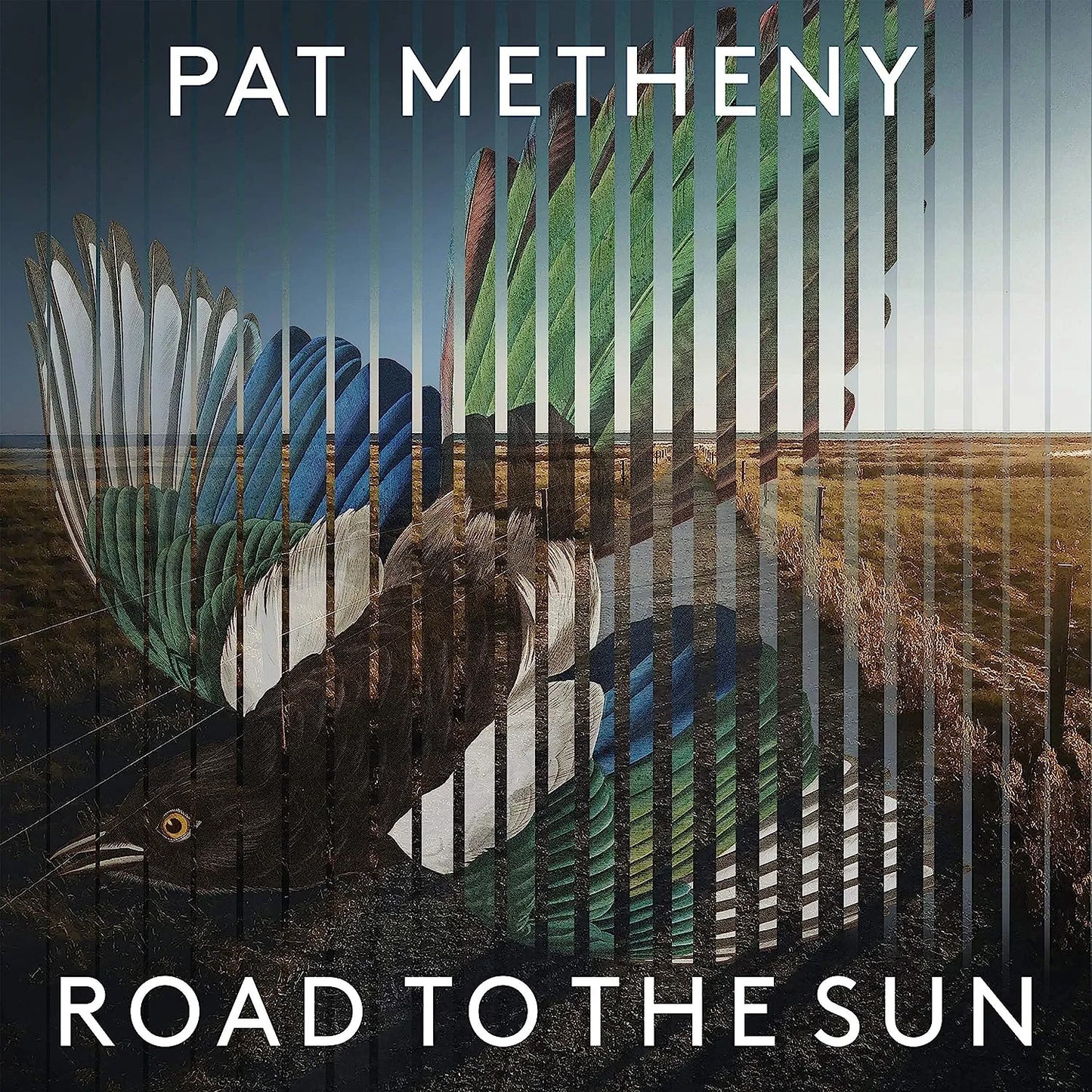 Pat Metheny - Road To The Sun 2 LP - 1 - LP - Orchard Records