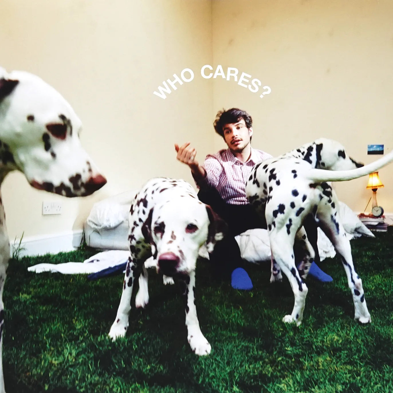 Rex Orange County - Who Cares? LP - 1 - LP - Orchard Records