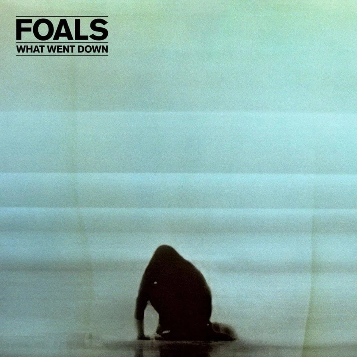 Foals - What Went Down LP - 1 - LP - Orchard Records