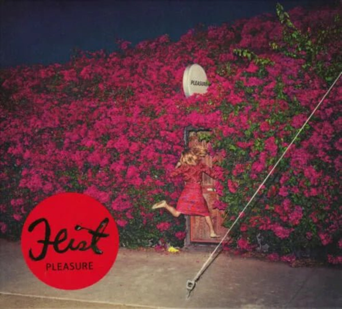 Feist - Pleasure CD - 1 - CD - Orchard Records