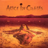 Dirt by Alice In Chains, second studio album, critically acclaimed and best-selling.