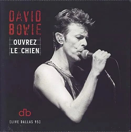 David Bowie - Ouvrez Le Chien 2 LP Set - 1 - LP - Orchard Records