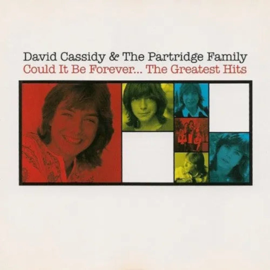 David Cassidy Could It Be Forever Greatest Hits CD cover artwork