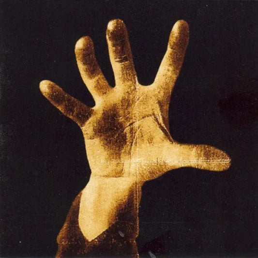 System Of A Down 1998 debut LP vinyl record in sleeve