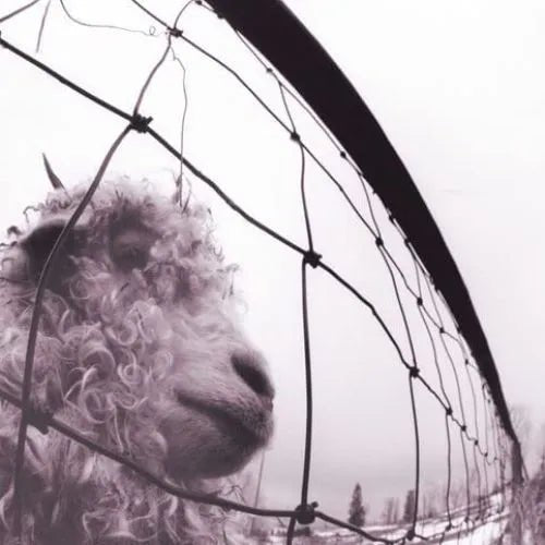 Pearl Jam - Vs: 30th Anniversary 2 LP Set - 1 - LP - Orchard Records