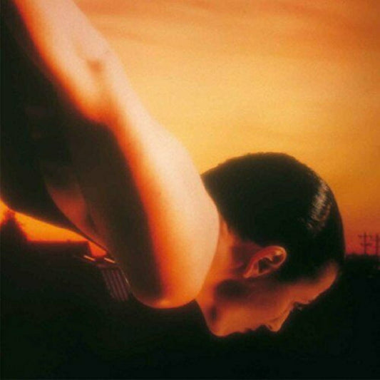 Porcupine Tree On The Sunday Of Life double LP vinyl album cover artwork