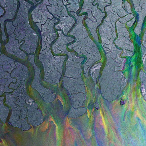 Alt-J - An Awesome Wave (INFECT134CD) CD