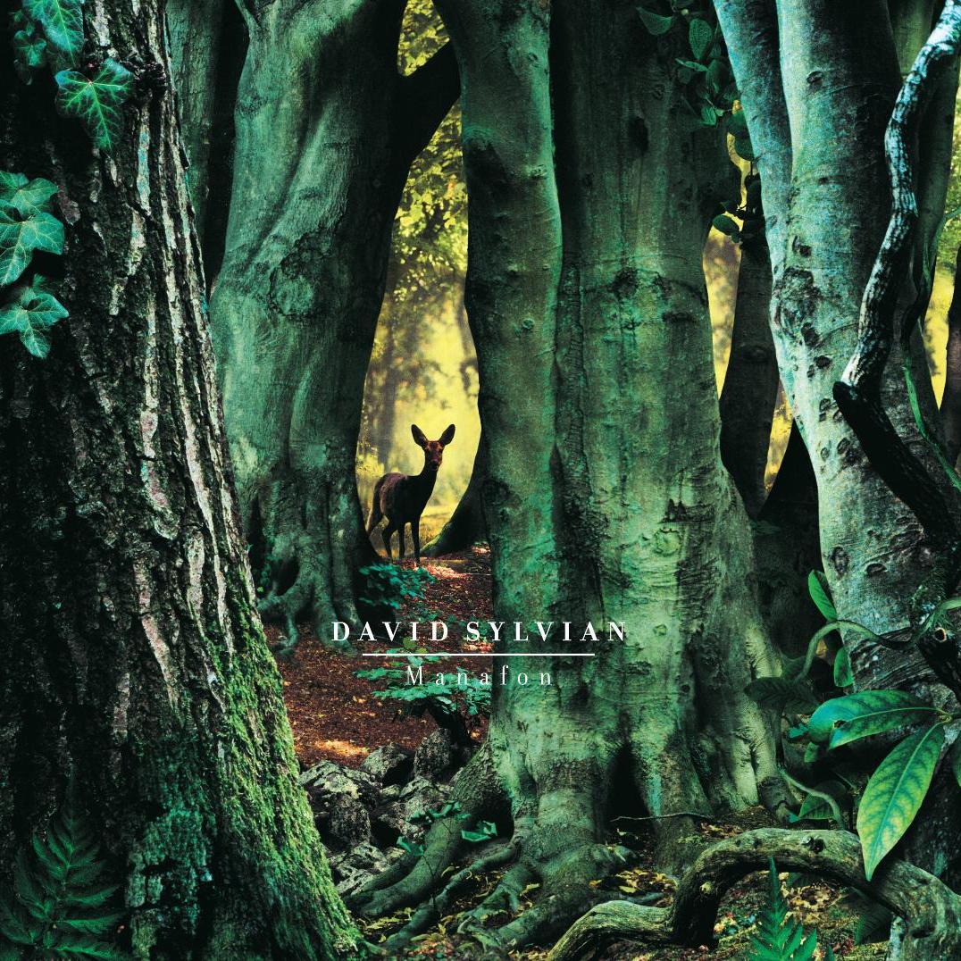 David Sylvian Manafon 180g 2LP vinyl album front cover artwork avant-garde chamber music