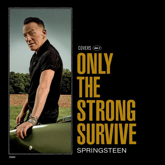 Bruce Springsteen - Only The Strong Survive 2 LP Green Vinyl - 1 - LP - Orchard Records