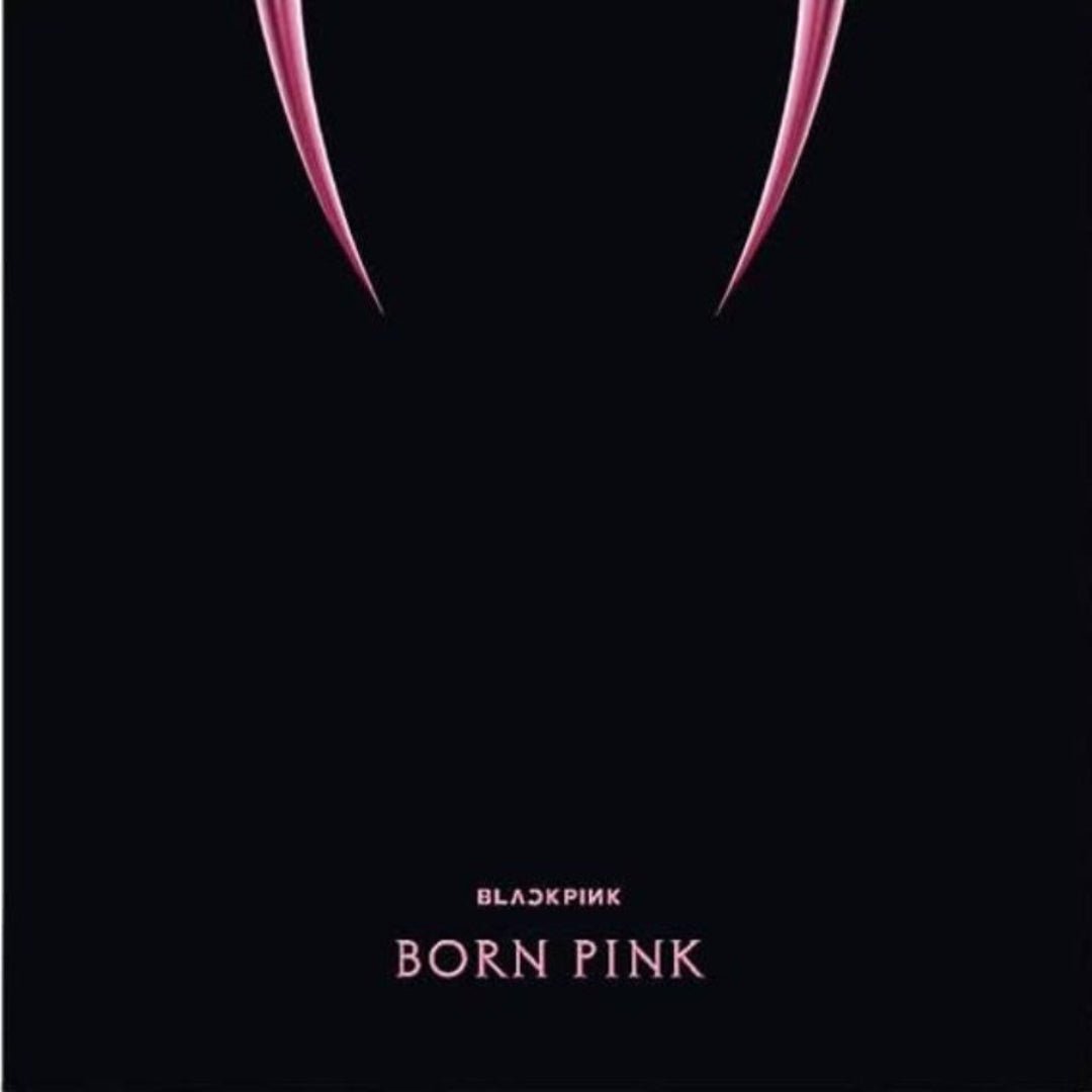 Blackpink 2022 Born Pink Black Ice vinyl record sleeve