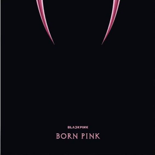 Blackpink 2022 Born Pink Black Ice vinyl record sleeve