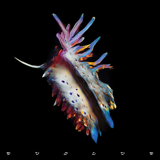 Sub Focus - Evolve 2 LP Set Clear Vinyl In Lenticular Sleeve - 1 - LP - Orchard Records