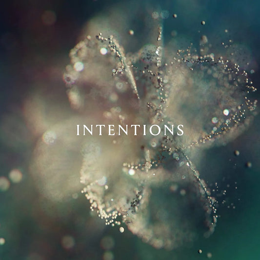 ANNA - Intentions ambient electronic vinyl LP album cover