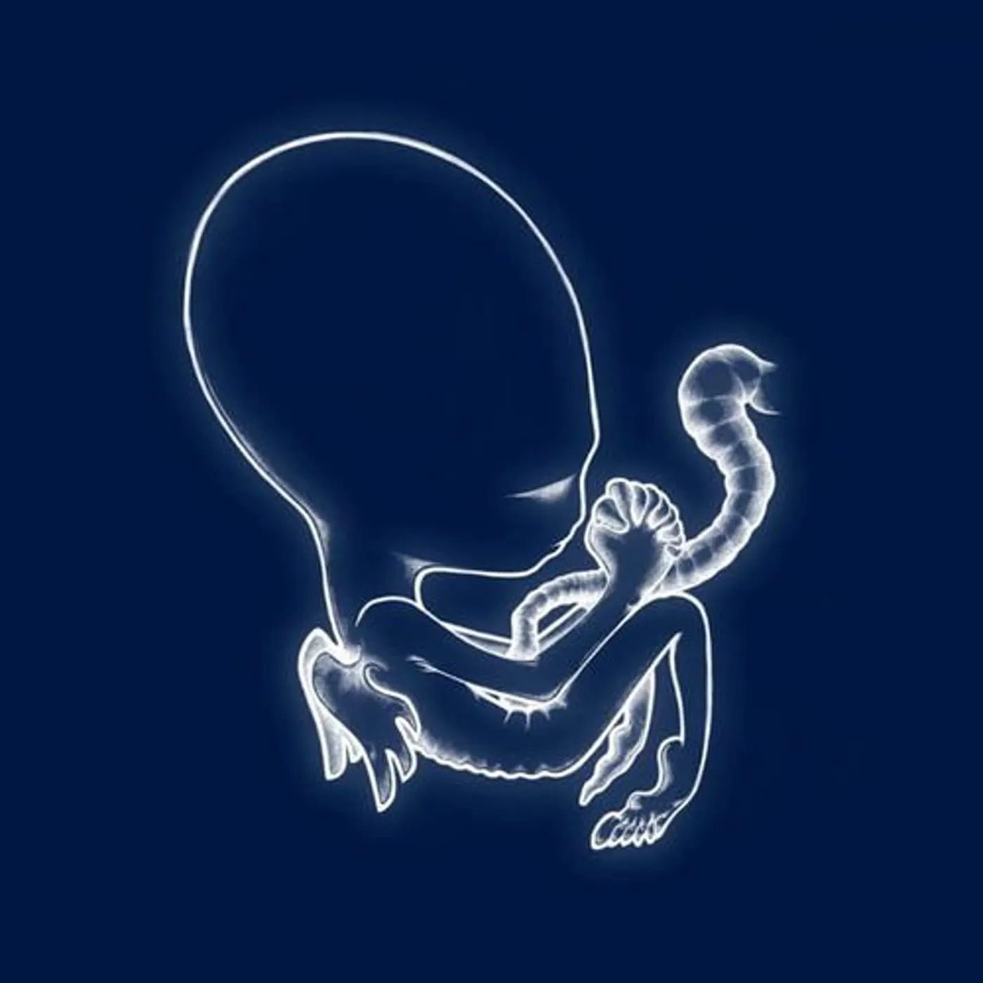 Sigur Rós Ágætis Byrjun LP featuring atmospheric post-rock and ethereal soundscapes.