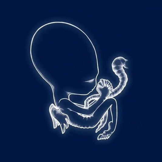 Sigur Rós Ágætis Byrjun LP featuring atmospheric post-rock and ethereal soundscapes.