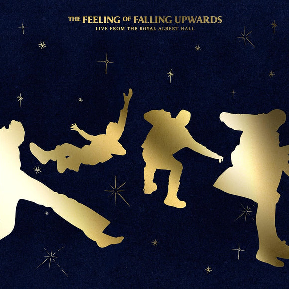 5 Seconds Of Summer - The Feeling Of Falling Upwards (53890123) 2 LP Set