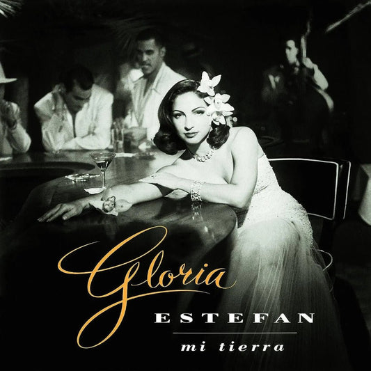 Gloria Estefan Mi Tierra LP Latin pop Cuban music album artwork