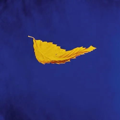 New Order - True Faith: 2023 Remaster 12" Single - 1 - LP - Orchard Records