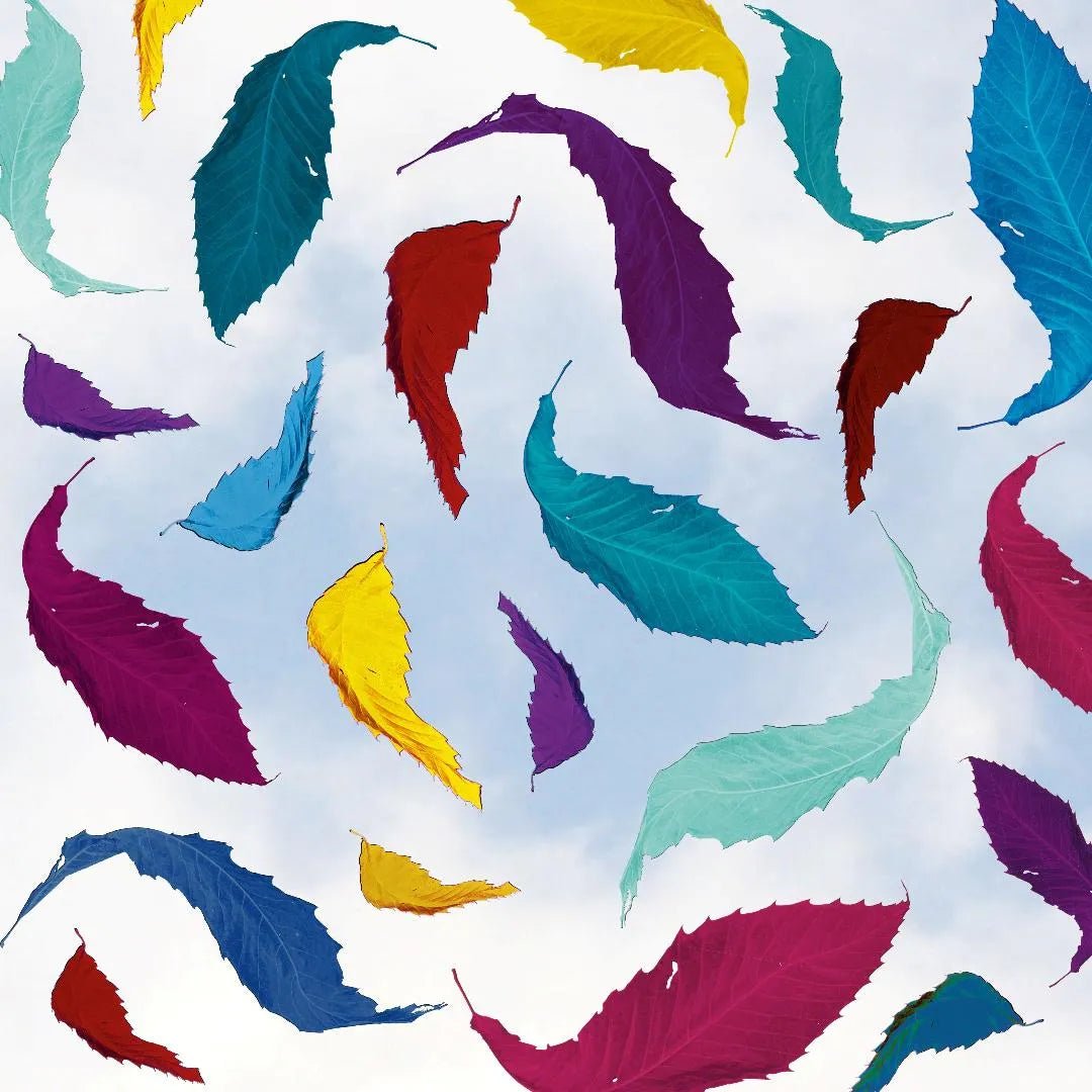 New Order - True Faith Remix: 2023 Remaster 12" Single - 1 - LP - Orchard Records