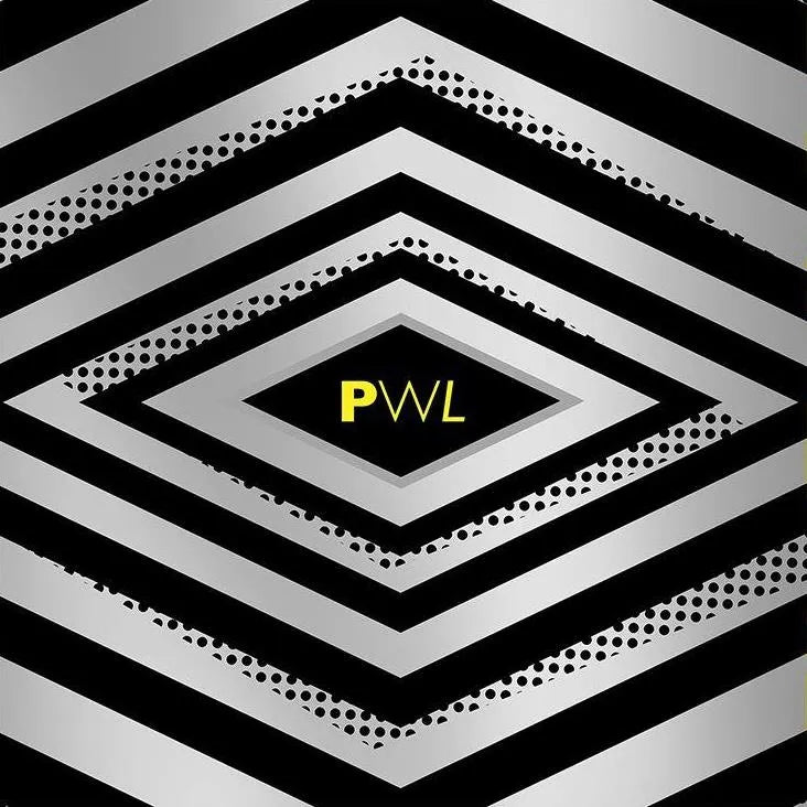 Various - PWL Extended: Big Hits & Surprises, Vol. 2 2 LP Set - 1 - LP - Orchard Records