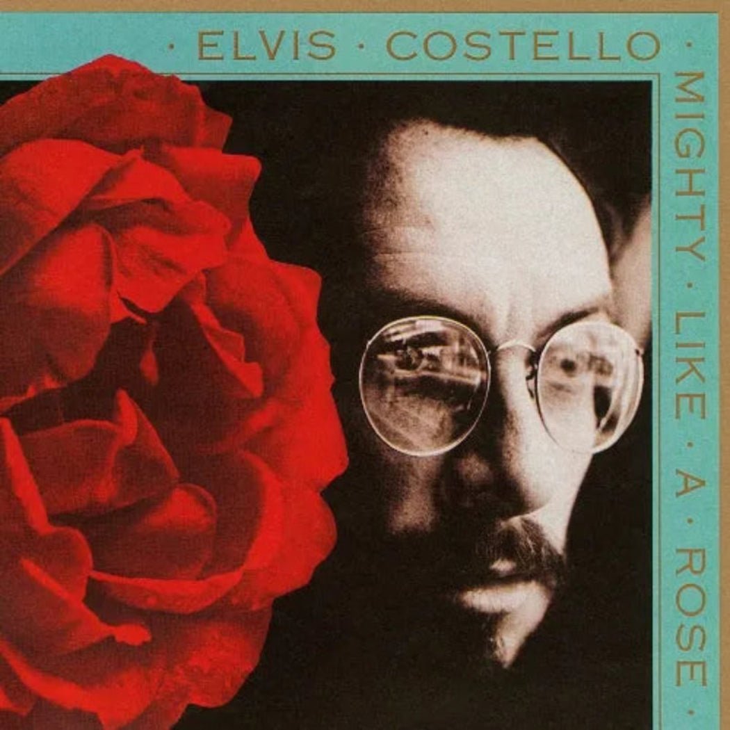 Elvis Costello Mighty Like A Rose LP cover with surreal red rose imagery and bold font.

