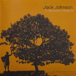 Jack Johnson - In Between Dreams (9880034) LP