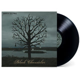 Biffy Clyro - Black Chandelier/Biblical (9756978) LP