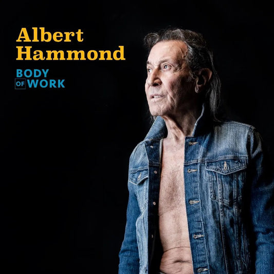 Albert Hammond Body of Work album cover on LP
