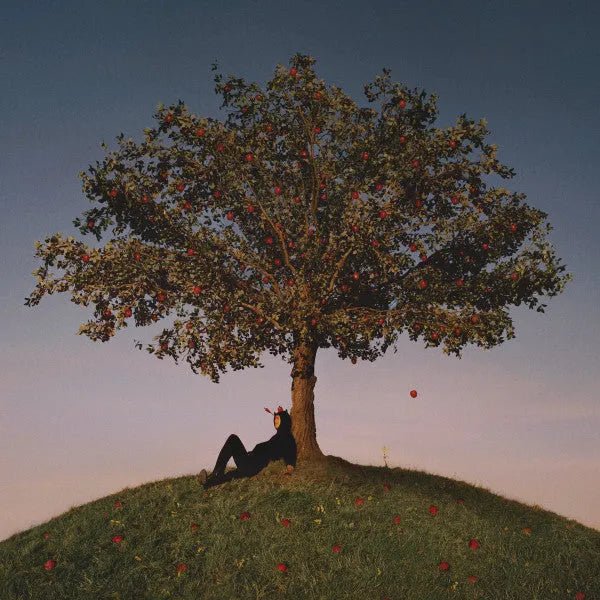 Slowthai - TYRON LP - 1 - LP - Orchard Records