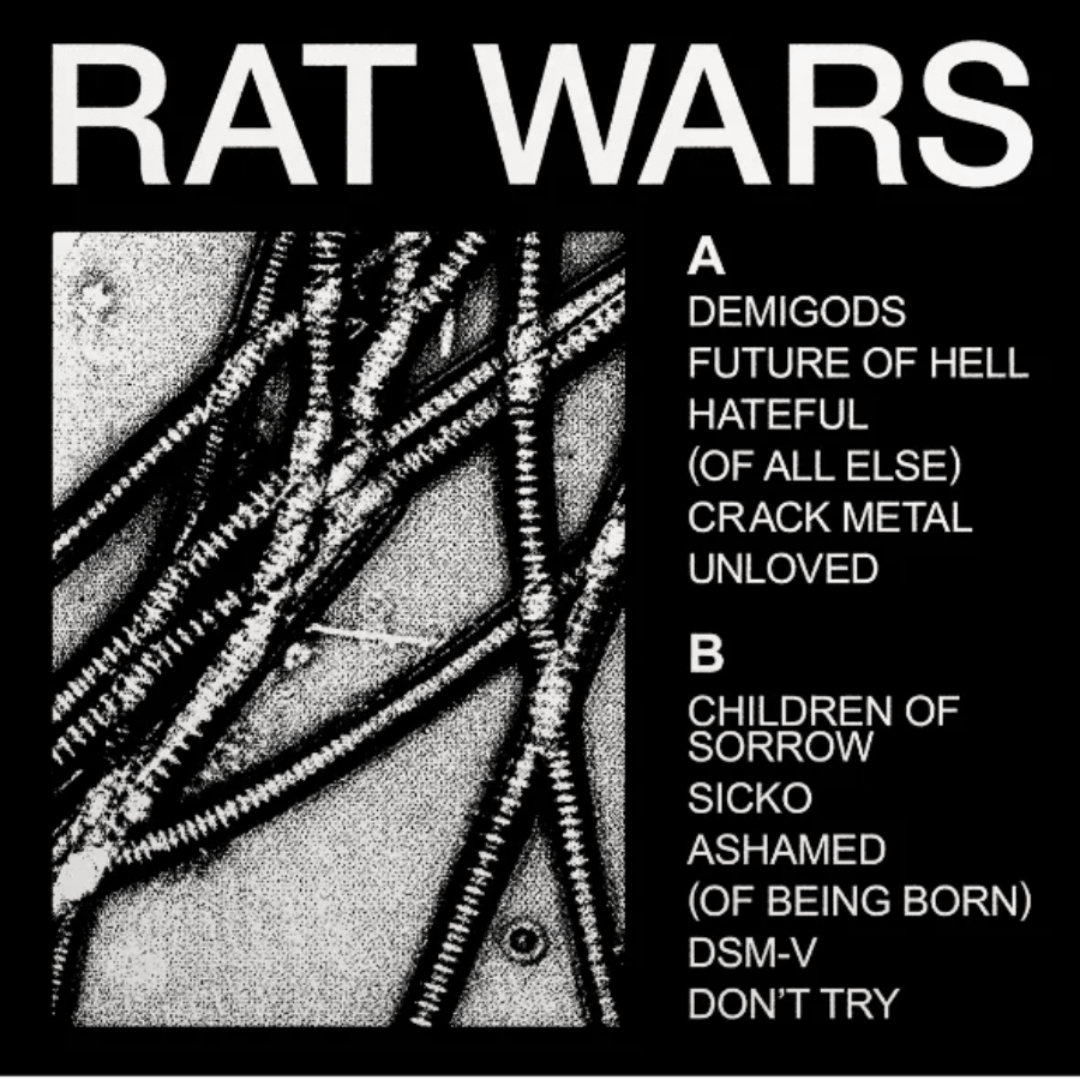 HEALTH RAT WARS LP Industrial Rock Vinyl Album Aggressive Electronic Metal