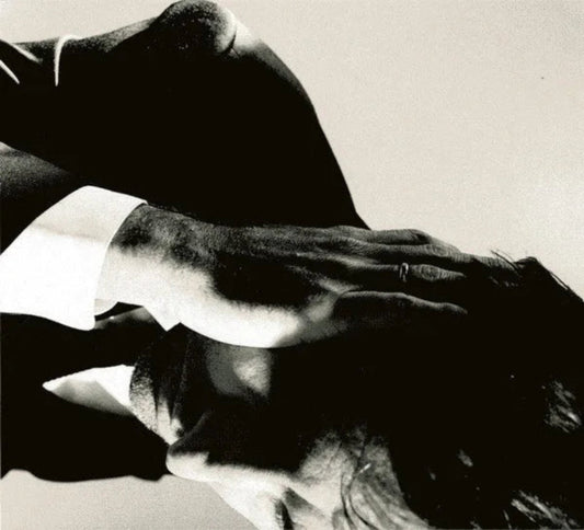 Andrew Bird Inside Problems album featuring introspective folk and lyrical imagery


