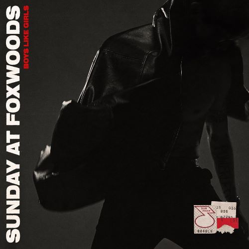 Boys Like Girls - Sunday At Foxwoods (FEAR3323) CD