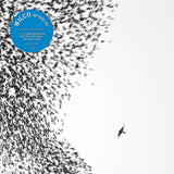 Wilco - Sky Blue Sky (9790480) 2 LP Set Blue Vinyl