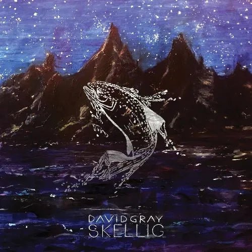 David Gray - Skellig 2 LP Set - 1 - LP - Orchard Records