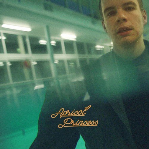 Rex Orange County - Apricot Princess (AP001LP) LP Orange Vinyl