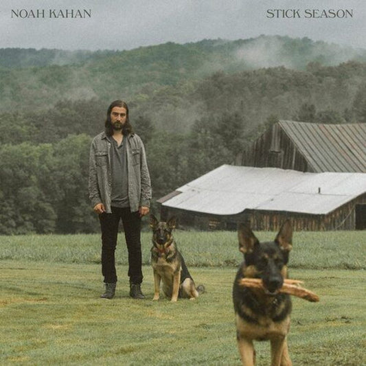 Noah Kahan Stick Season double LP green vinyl record sleeve artwork cover