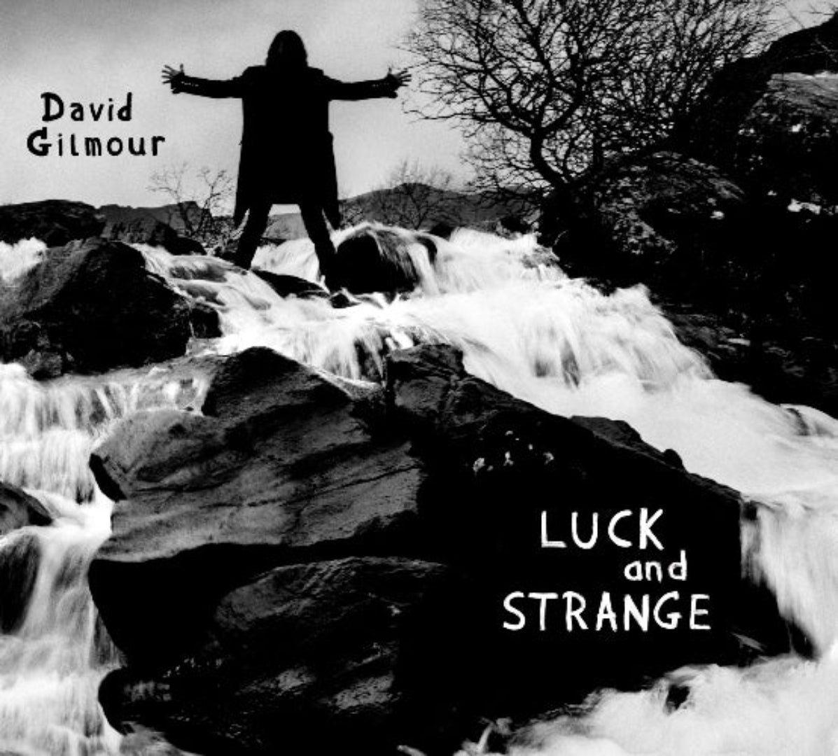 David Gilmour Luck and Strange album cover with artistic photography by Anton Corbijn