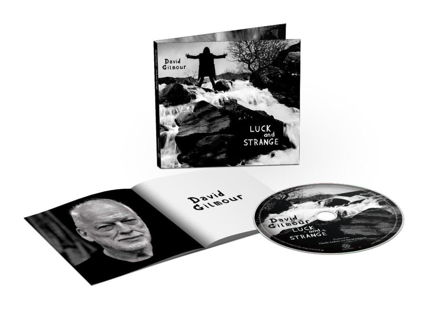 ‘Luck and Strange’ vinyl edition with David Gilmour, eight new tracks and bonus track