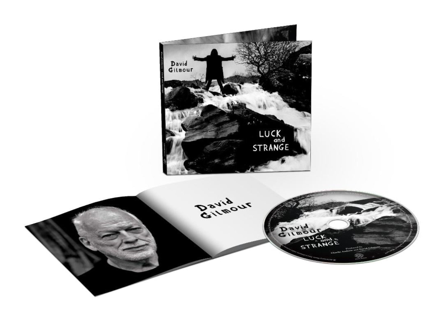 ‘Luck and Strange’ vinyl edition with David Gilmour, eight new tracks and bonus track