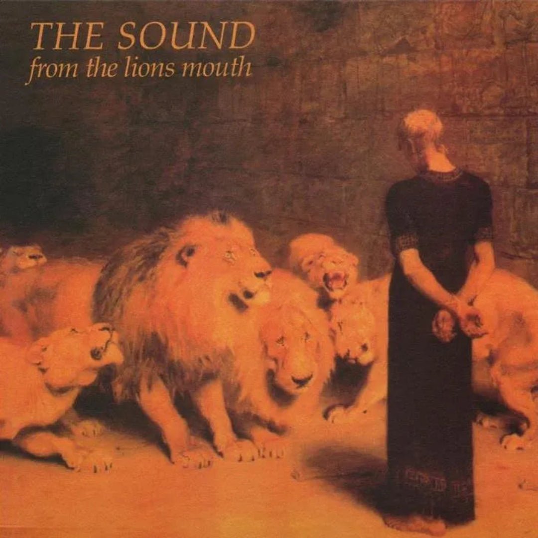 The Sound From the Lion’s Mouth album cover with moody post-punk imagery