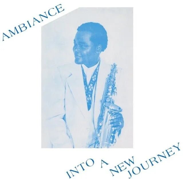 Ambiance - Into A New Journey 2 LP Set - 1 - LP - Orchard Records