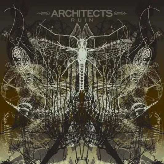 Ruin record by Architects metalcore vinyl edition early career album