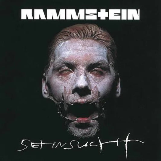 Rammstein Sehnsucht 2 LP vinyl industrial metal album Du Hast release