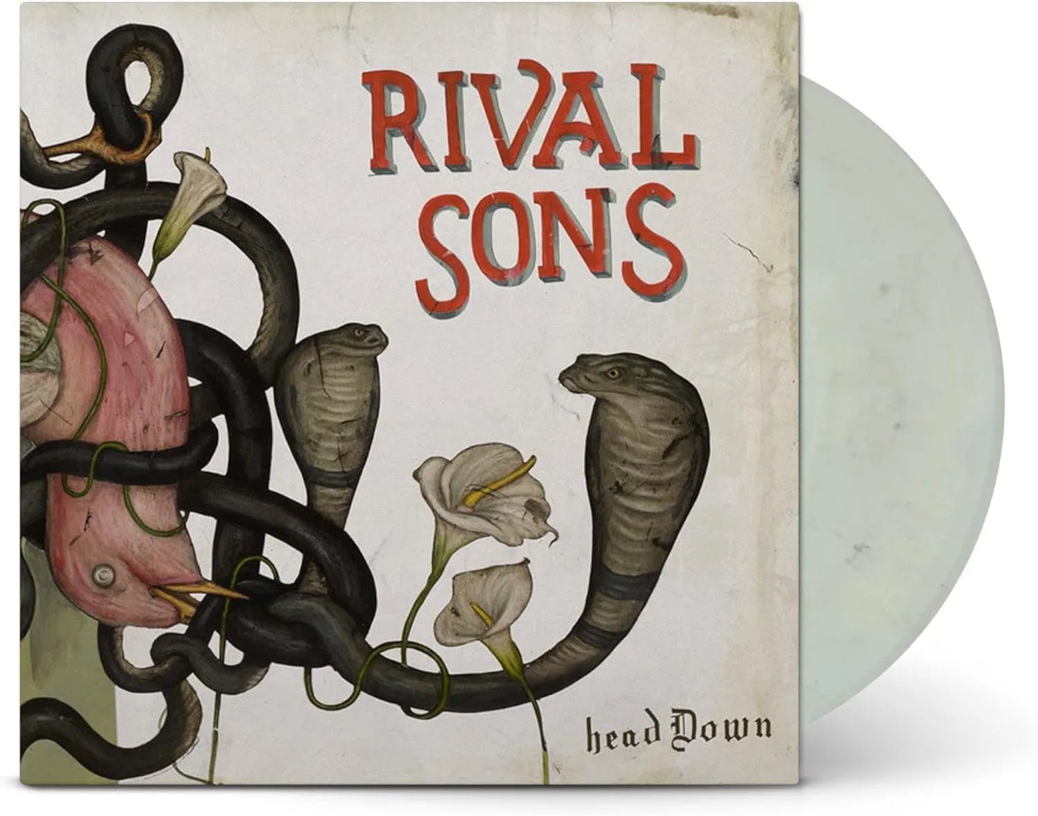 Rival Sons - Head Down 2 LP Set California Kingsnake Vinyl - 4 - LP - Orchard Records