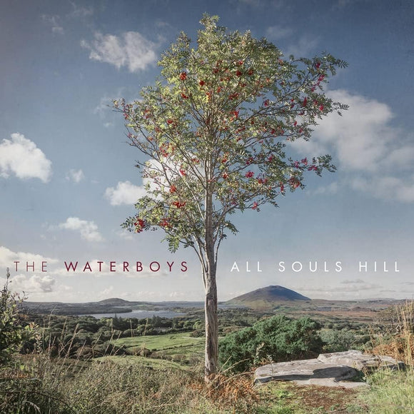 The Waterboys - All Souls Hill (COOKCD819) CD